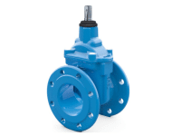 Gate Valve - Raphael Israel ( Talis Group)