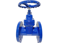 Gate valve - Amexsa Mexico