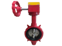 Signal Butterfly Valve - Amexsa Mexico