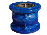 Check valve - Amexsa Mexico
